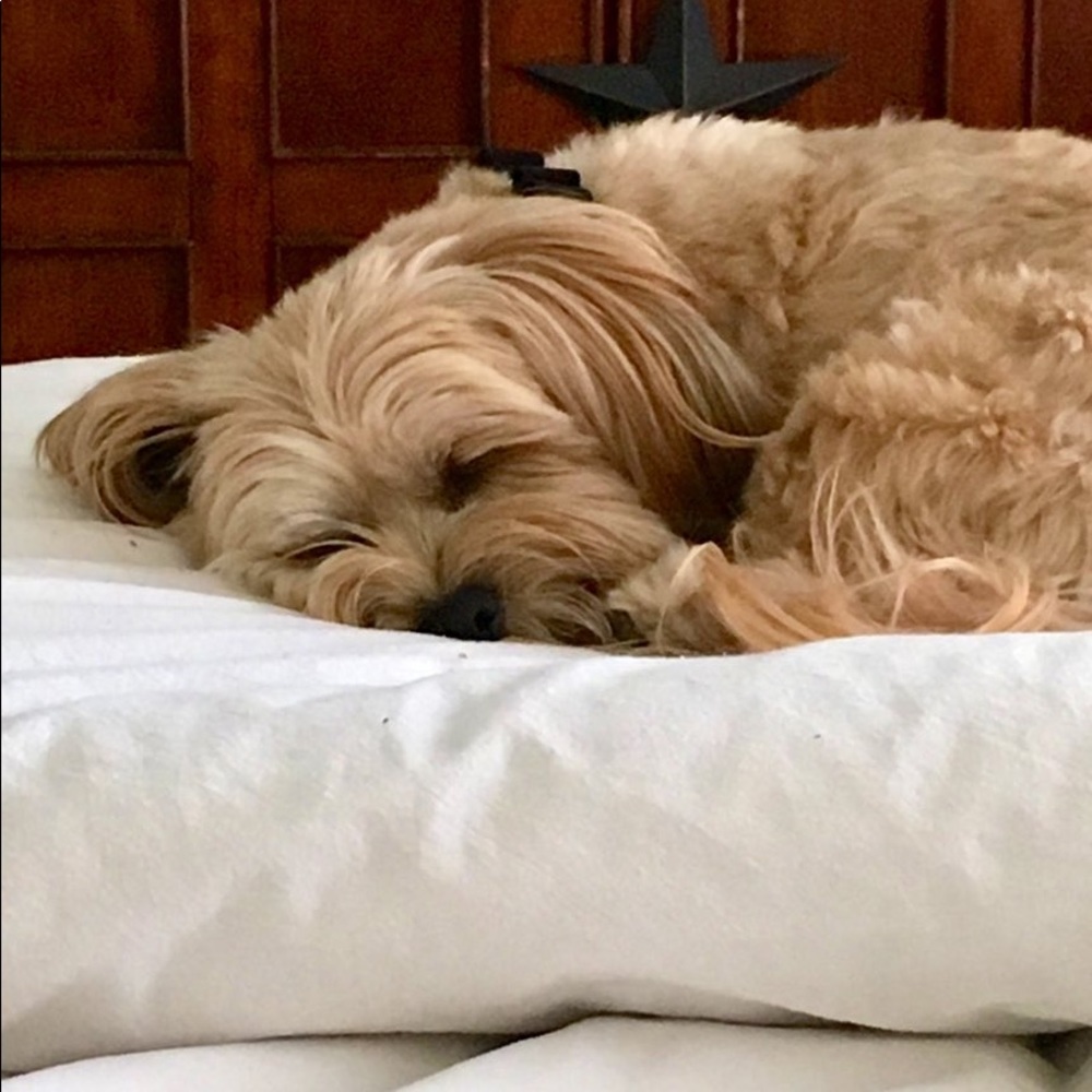 ❤️ - Picture 2 of 14